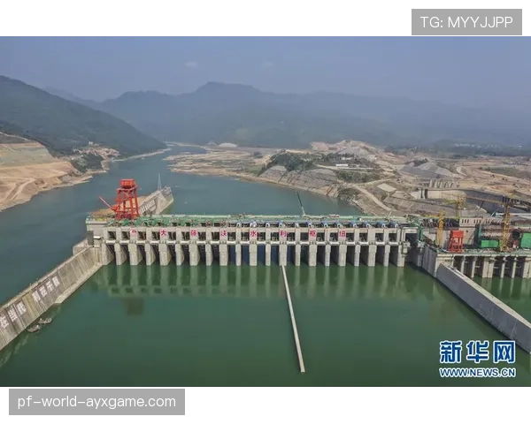 球员赛中技术统计误差修正流程与责任划分，技术犯规统计